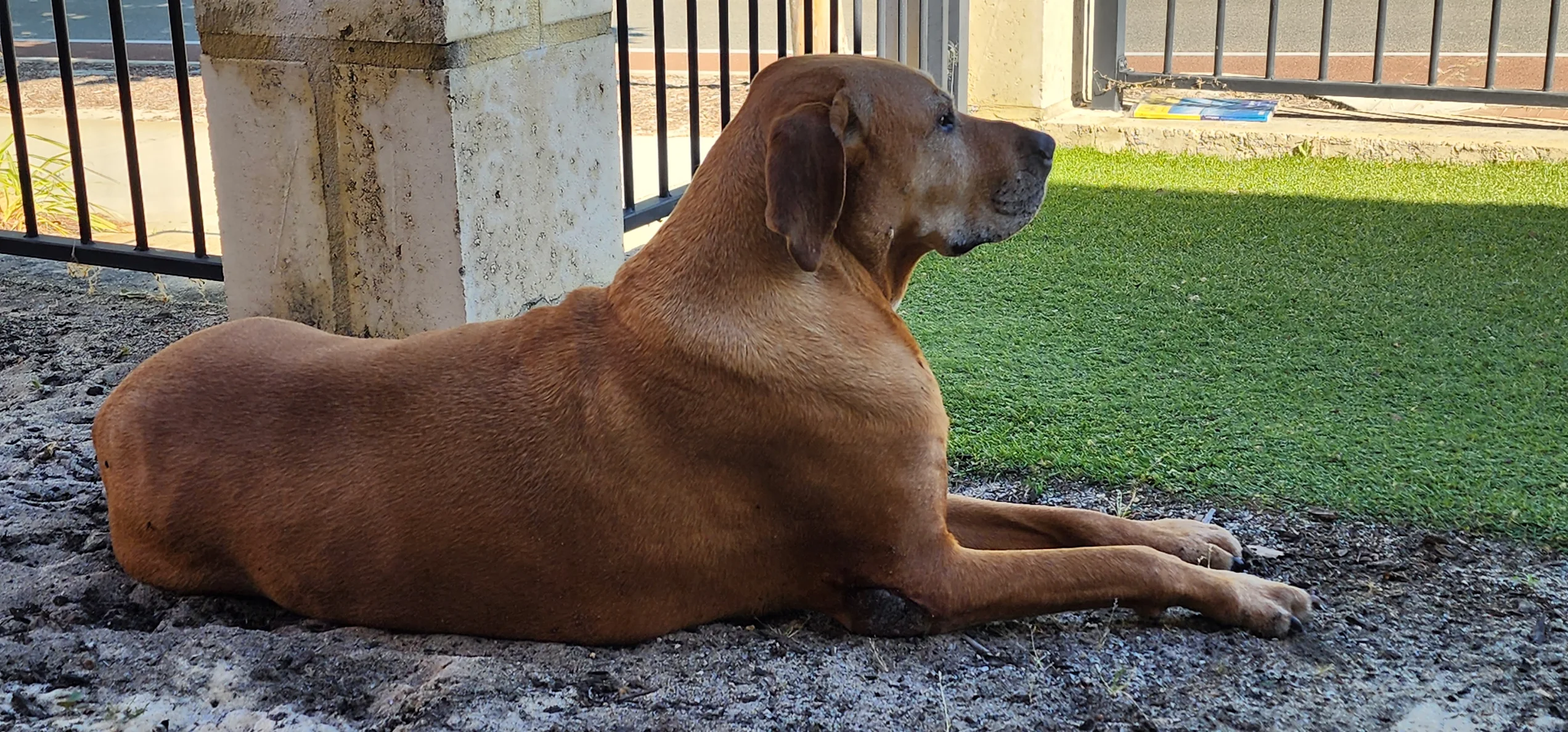 Review image 1 from Azza Fellows